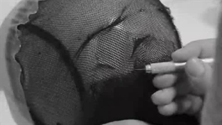 نمونه پوستیژ اختصاصی ویگنلی