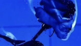 وایب چنل+ حرف های تومارا شیگاراکی (ساخت خودم)