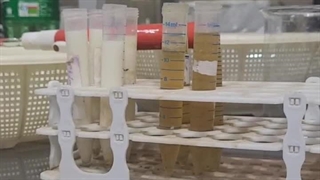 آماده سازی نمونه ها جهت قرارگیری در سانتریفیوژ و جداسازی ذرات ریز