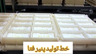 خط تولید پنیر فتا