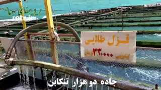 دیدنیها تنکابن