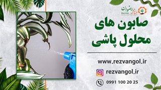 صابون محلول پاشی