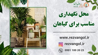 محل نگهداری مناسب برای گیاهان