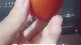 این گوجه فرنگی دانه ای دو میلیون و پانصد هزار تومان