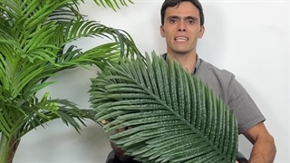 خرید برگ مصنوعی نخل کنتیا سایز متوسط، انتخابی شیک و طبیعی برای دکوراسیون منزل و محیط کار!