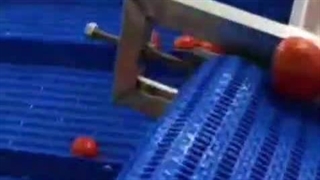 وان شستشوی میوه و سبزیجات تمام اتومات اسوه صنعت