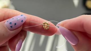 ستاره دریایی