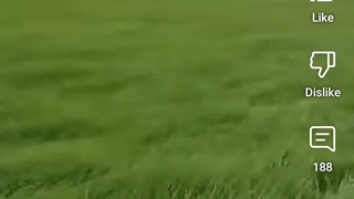 زندگی به عنوان یک کارات