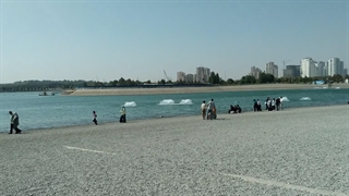 دریاچه چیتگر