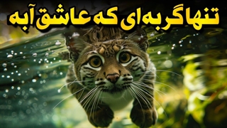 این گربه داره به یه ماهی تبدیل میشه!
