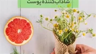 شستشوی کامل و کنترل چربی پوست با سبوژل آردن