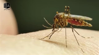 تا سال 2030 قراره چه اتفاقی در دنیا بیفته ؟