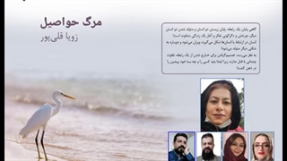 مجموعه داستان «مرگ حواصیل» نویسنده «زویا قلی‌پور» بخش دوم