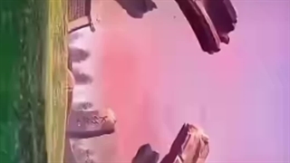 وایب انیمه تخت و نشان