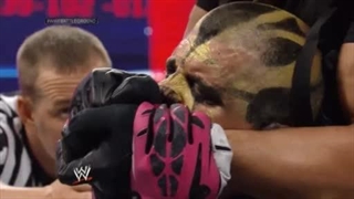 شیلد در مقابل برادری - میدان نبرد WWE 2013