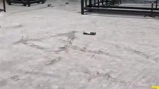 راه‌اندازی کامل خط تولید زغال حبه‌ای با خرید تضمینی 09120641146