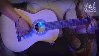 تست صدای گیتار آگرین طرح 5 + تست صدا