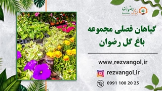 معرفی گیاهان فصلی