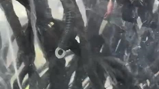 ویدئو معرفی سیم کشی موتور پژو ۴۰۵ مدل‌ 91