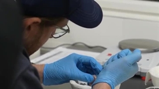 تولد اولین جوجه از نادرترین طوطی جهان که منقرض شده بود!