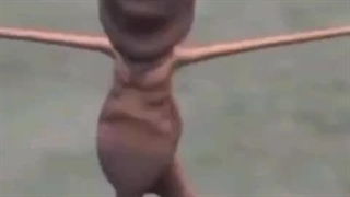 شینگلی نانای نای