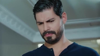 سریال عروس 240