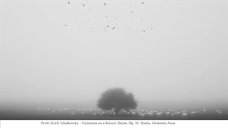 ویولنسل آرامش‌بخش - ویوالدی، بتهوون، هایدن