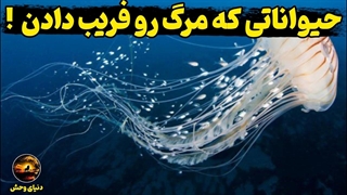 موجوداتی که پیر نمی شن : موجوداتی که مرگ رو شکست دادن