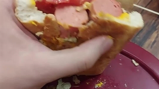 فست فود هاون با ساندویچ هات داگ 690هزار تومانی