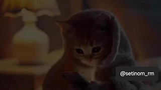 اصلا قبل بیدار شدن