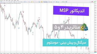 اندیکاتور MSP برای متاتریدر 4 و 5 – رایگان [تریدینگ فایندر]