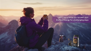 قهوه 100 روبوستا پانتیل