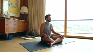 How to do Navasana - Boat Pose for Beginners