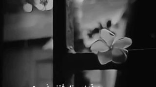 مهر تو ز سینه رفتنی نیست