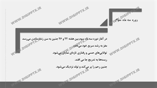 پاورپوینت رشید پیش از تولد