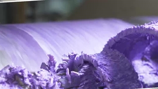 پشت هر صابون، یک داستان از کیفیت!