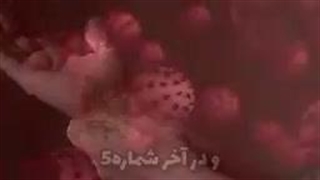 ۵ حقیقت عجیب و باورنکردنی درباره بدن انسان  _ دانستنی_های جالب علمی-144p