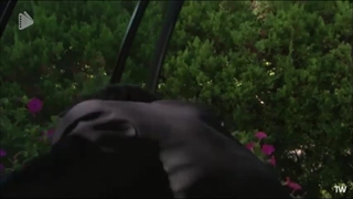 قسمت 48 سریال غول