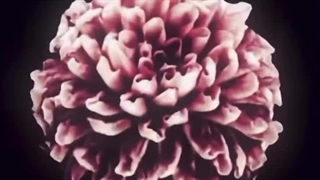 کیا اینطورن:(