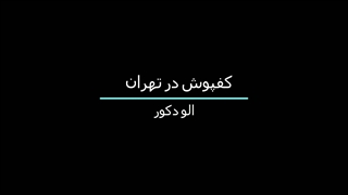 کفپوش در تهران
