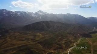 زرد کوه عروس چهارمحال و بختیاری (کوهرنگ)