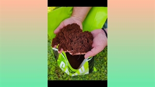 راز خاک مناسب پتوس برای رشد سریع و برگ‌های درخشان