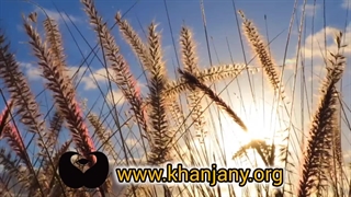 آفت های صفات انسانی، امراض دوستی تا نبوغ از نگاه عرفان اسلامی