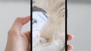 هر چه تو بگویی