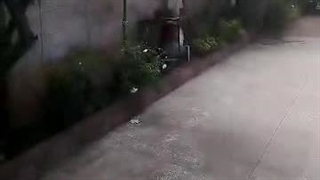 فروش زمین در محمود آباد مازندران۰۹۳۵۷۹۳۷۷۲۳