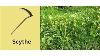 اصطلاحات مزرعه داری و کشاورزی در انگلیسی