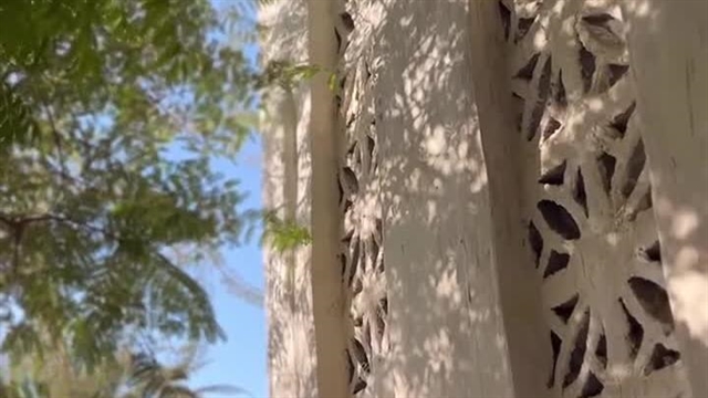 اقامتگاه جالبوت - نماشا