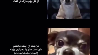 هممون اینطوری‌ایم