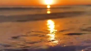 کلیپ اهنگ غروب پاییزه دلم از امیر مهدی دروگر