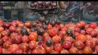 جشنواره انار _